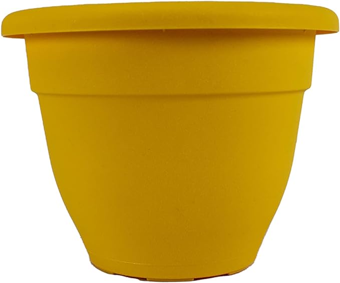 8 Inch Caribbean Planter - Lightweight Indoor Outdoor Plastic Plant Pot for Herbs and Flowers, Honey