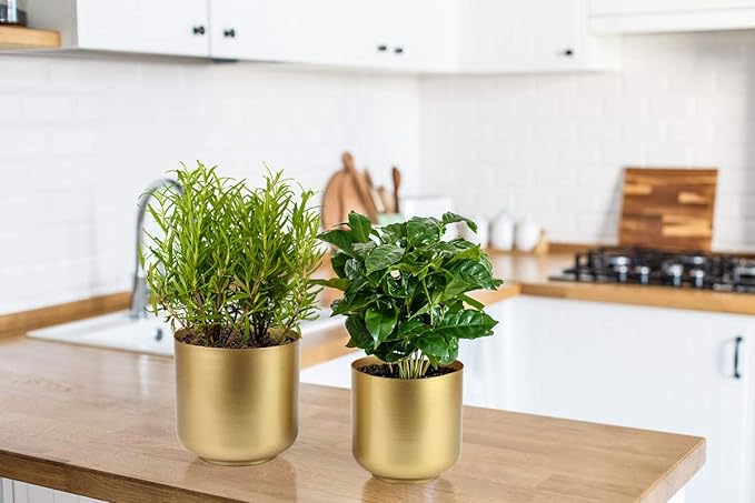 Large Gold Planters Metal Aloe Brass-Tone Plant Pots Indoor Decorative Flower Pots with Drain Holes