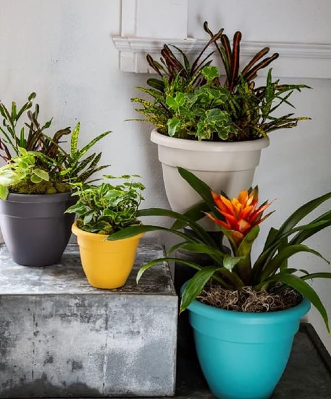 8 Inch Caribbean Planter - Lightweight Indoor Outdoor Plastic Plant Pot for Herbs and Flowers, Honey