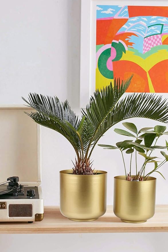 Large Gold Planters Metal Aloe Brass-Tone Plant Pots Indoor Decorative Flower Pots with Drain Holes