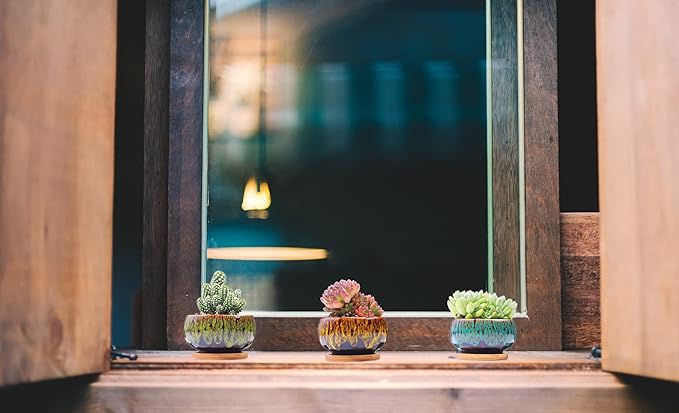 Cute Ceramic Succulent Garden Pots, Planter with Drainage and Attached Saucer, Set of 5 -Plants Not Included (Round)