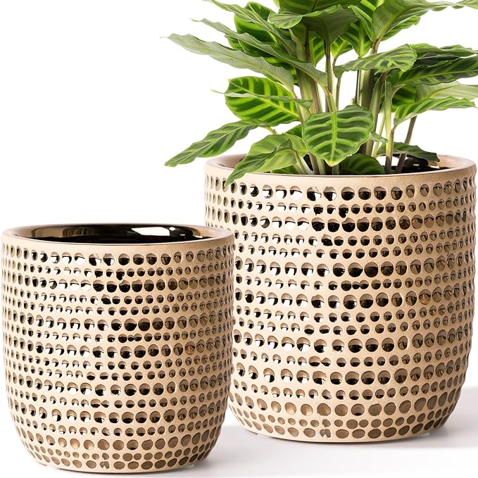 Gold Planters for Indoor Plants Flower, 2 Pack 6/5 Inch Ceramic Houseplant Pots with Drainage Hole, Stopper, Foam Pads Perfect for Home Decor, Holidays and Birthday Gifts