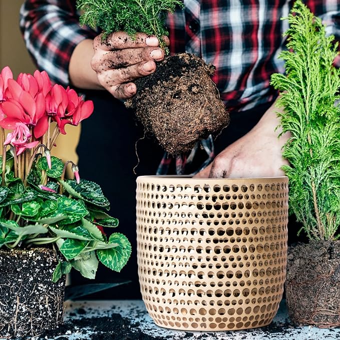 Gold Planters for Indoor Plants Flower, 2 Pack 6/5 Inch Ceramic Houseplant Pots with Drainage Hole, Stopper, Foam Pads Perfect for Home Decor, Holidays and Birthday Gifts