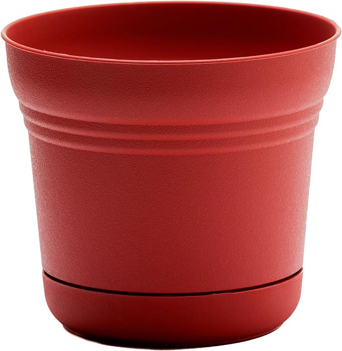 Round Planter with Saucer Durable Plastic Pot, Matte Finish, Removable Saucer, for Indoor & Outdoor Use, Gardening