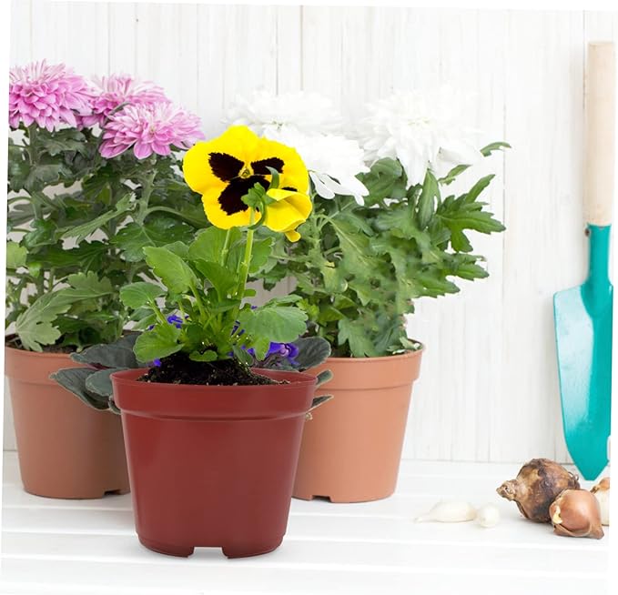 50pcs Plastic Flower Pot Seeding Nursery Pot Round Plant Pot Plastic Planters Large Flowerpot Plastic Plant Pots Large Flower Pot Flowers Small Banyan Tree Office
