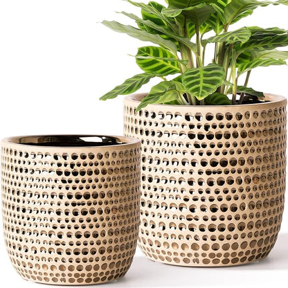 Gold Planters for Indoor Plants Flower, 2 Pack 6/5 Inch Ceramic Houseplant Pots with Drainage Hole, Stopper, Foam Pads Perfect for Home Decor, Holidays and Birthday Gifts