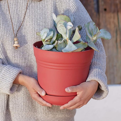 Round Planter with Saucer Durable Plastic Pot, Matte Finish, Removable Saucer, for Indoor & Outdoor Use, Gardening