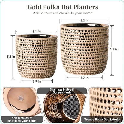 Gold Planters for Indoor Plants Flower, 2 Pack 6/5 Inch Ceramic Houseplant Pots with Drainage Hole, Stopper, Foam Pads Perfect for Home Decor, Holidays and Birthday Gifts