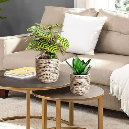 Gold Planters for Indoor Plants Flower, 2 Pack 6/5 Inch Ceramic Houseplant Pots with Drainage Hole, Stopper, Foam Pads Perfect for Home Decor, Holidays and Birthday Gifts